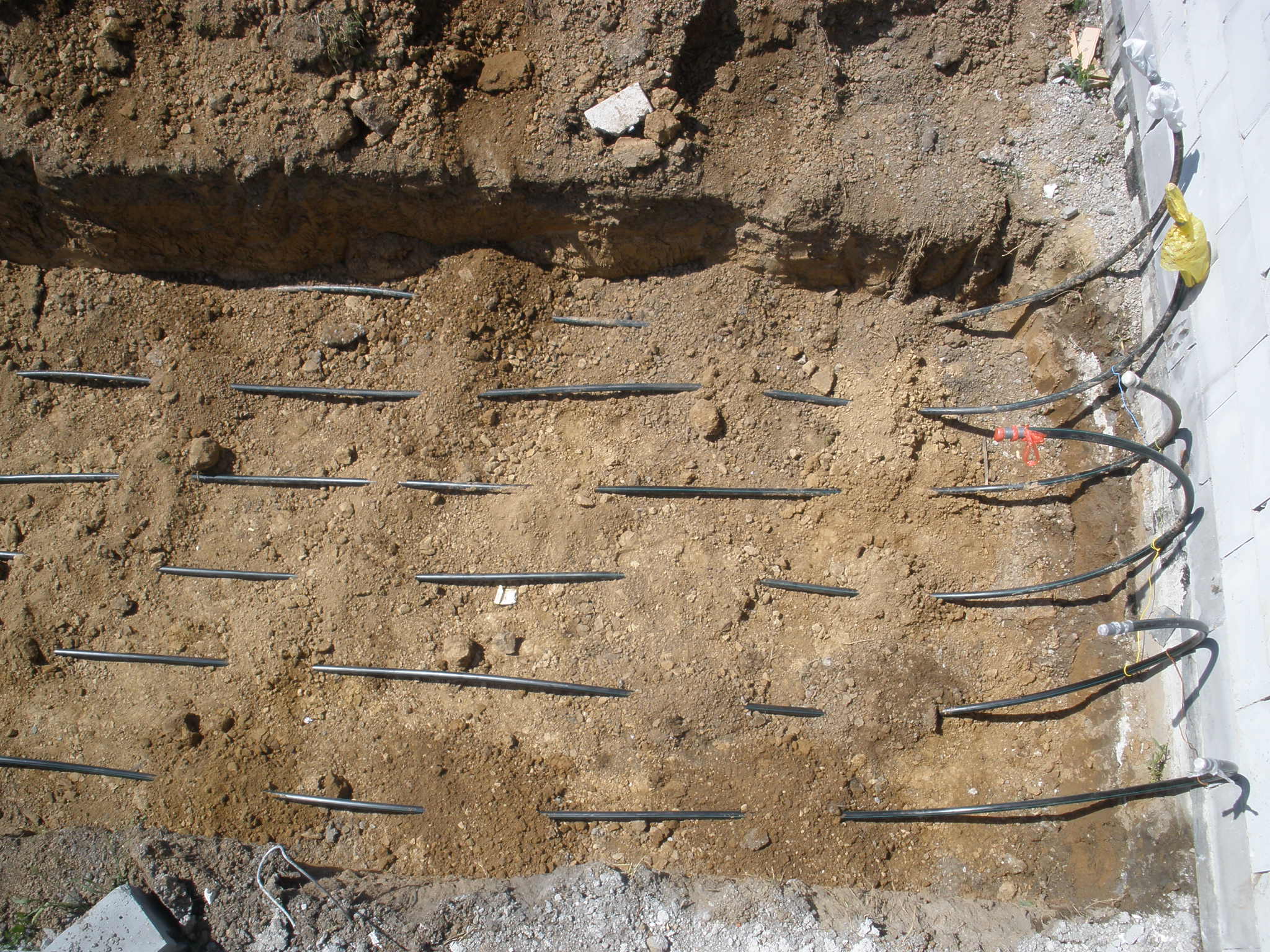 P5130374.JPG