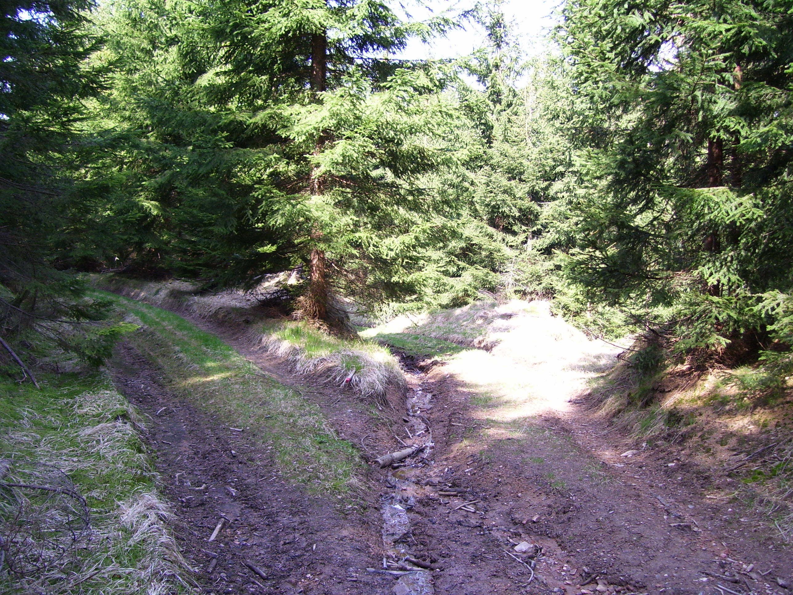 100_2695.jpg