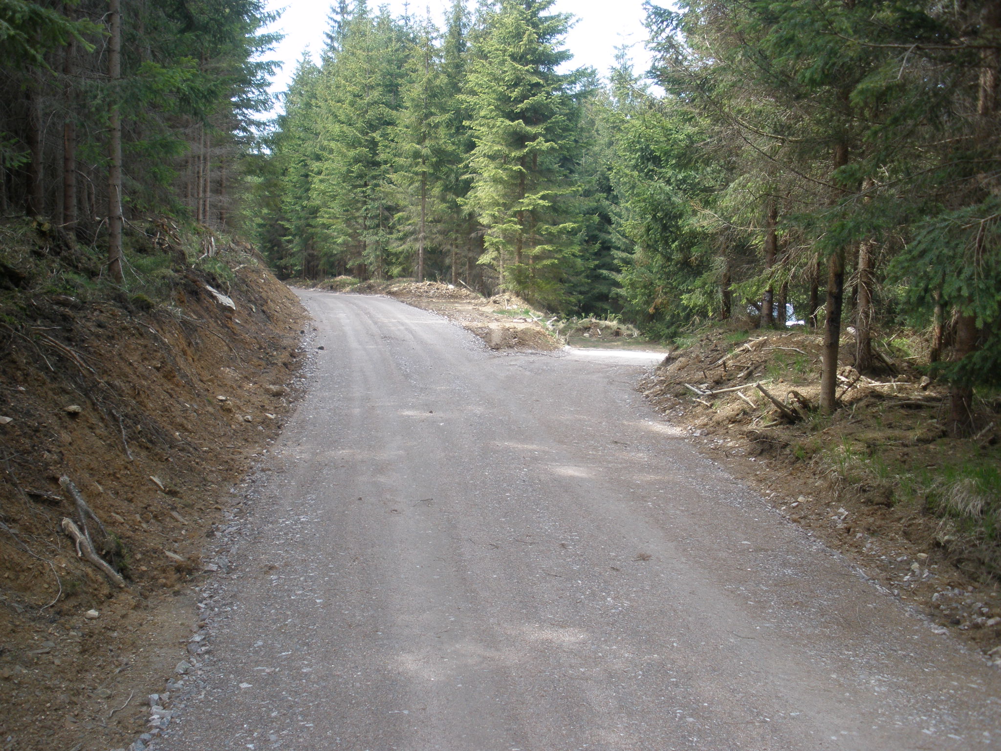 P4270331.JPG